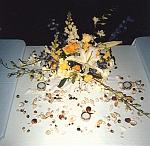 Beach Theme with Scattered Shells